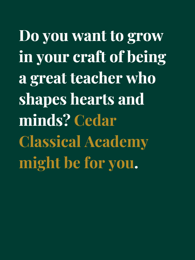 Jobs: Teaching is a Craft